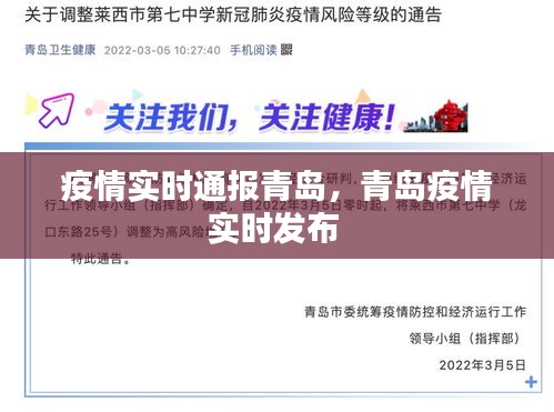 疫情实时通报青岛,青岛疫情实时发布