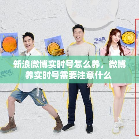 新浪微博实时号怎么养,微博养实时号需要注意什么