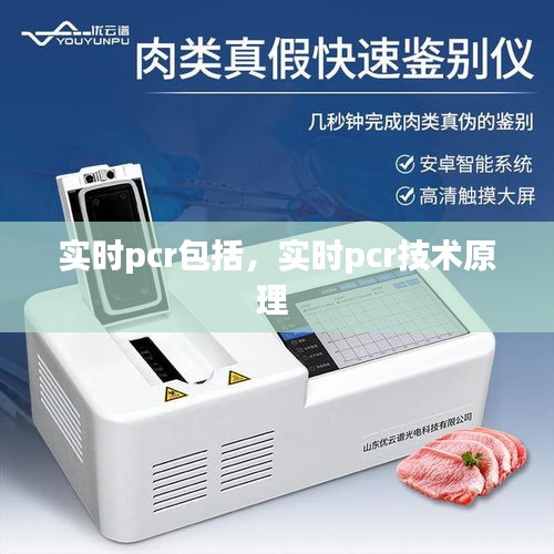 实时pcr包括,实时pcr技术原理