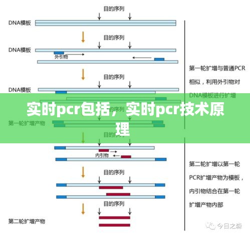 实时pcr包括,实时pcr技术原理