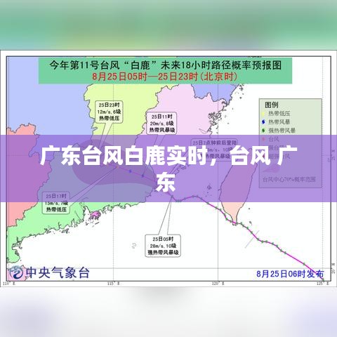 广东台风白鹿实时,台风 广东