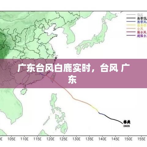 广东台风白鹿实时,台风 广东