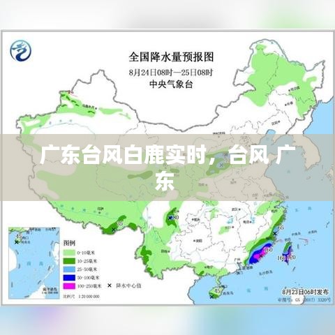 广东台风白鹿实时,台风 广东