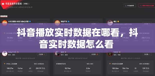 抖音播放实时数据在哪看,抖音实时数据怎么看