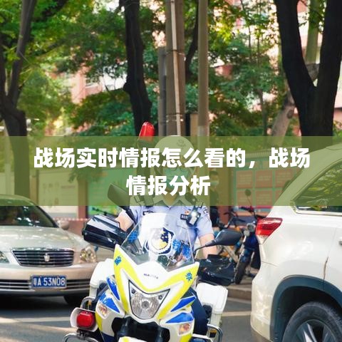 战场实时情报怎么看的,战场情报分析