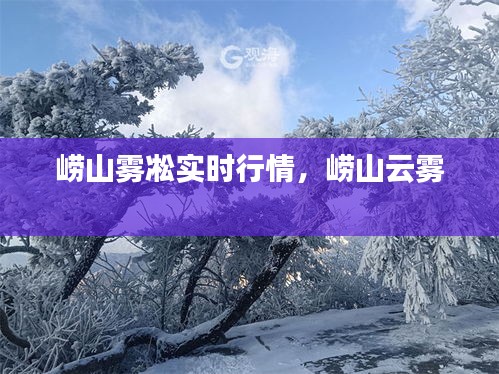 崂山雾凇实时行情,崂山云雾
