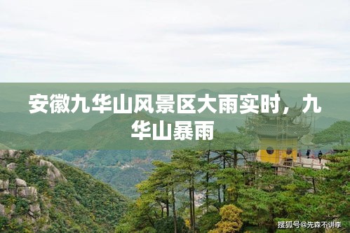 新闻动态 第284页