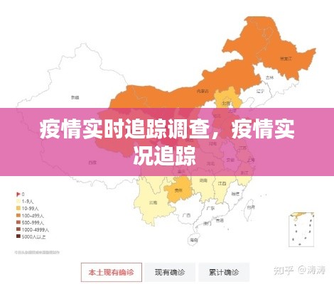疫情实时追踪调查,疫情实况追踪