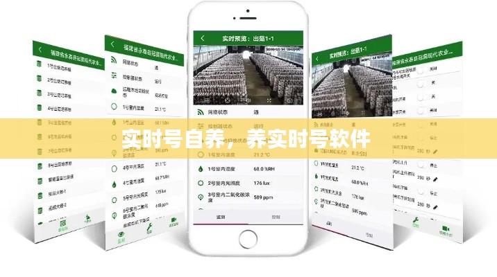 实时号自养,养实时号软件
