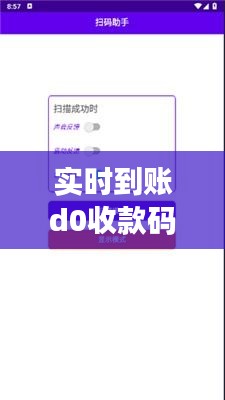 实时到账d0收款码,扫码实时到账