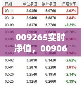 009265实时净值,009062净值