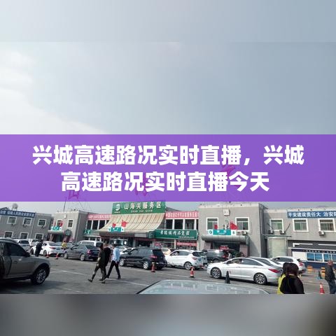 兴城高速路况实时直播,兴城高速路况实时直播今天