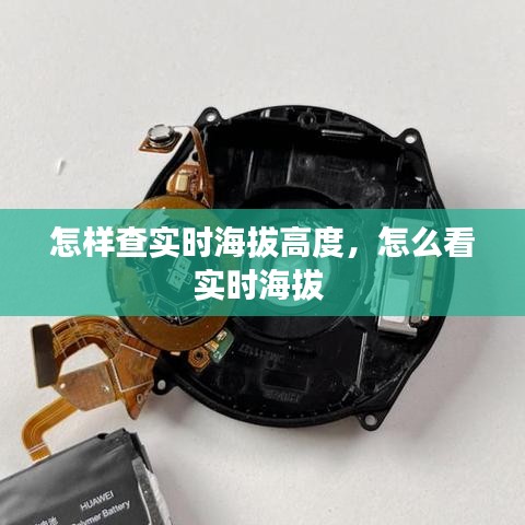 怎样查实时海拔高度,怎么看实时海拔