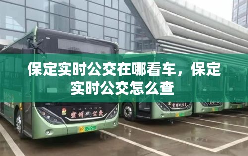 保定实时公交在哪看车,保定实时公交怎么查