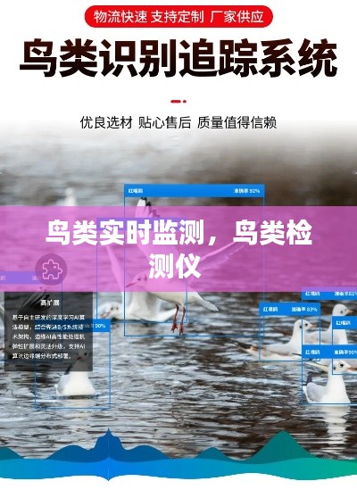 鸟类实时监测,鸟类检测仪