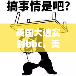 美国大选实时bbc,美国大选实时地图