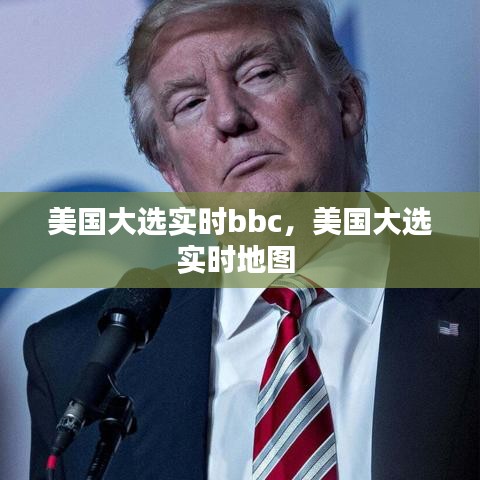 美国大选实时bbc,美国大选实时地图