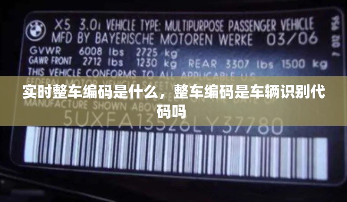 虫蚀鸟步 第5页