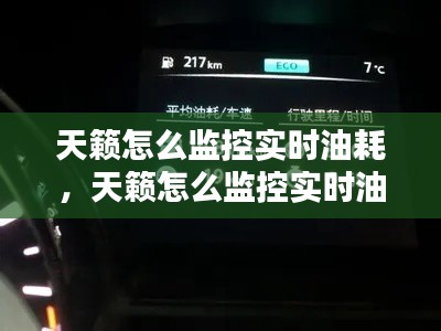 天籁怎么监控实时油耗,天籁怎么监控实时油耗显示
