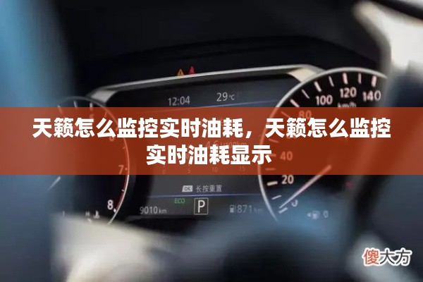 天籁怎么监控实时油耗,天籁怎么监控实时油耗显示