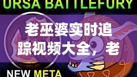老巫婆实时追踪视频大全,老巫婆的诡计故事视频