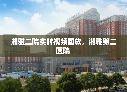 湘雅二院实时视频回放,湘雅第二医院