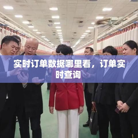 实时订单数据哪里看,订单实时查询