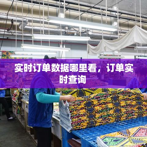 实时订单数据哪里看,订单实时查询