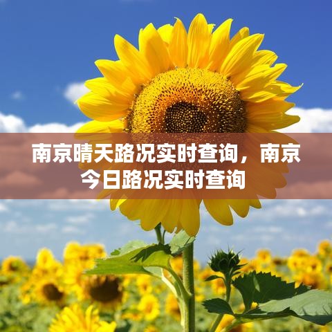 南京晴天路况实时查询,南京今日路况实时查询