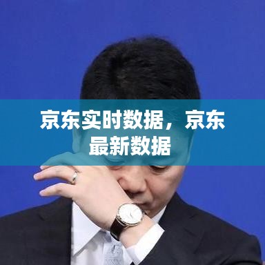 京东实时数据,京东最新数据