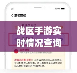 战区手游实时情况查询,战区app