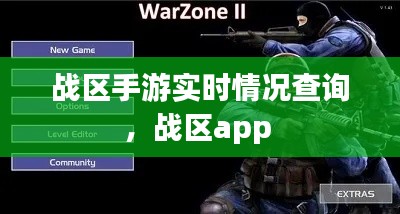 战区手游实时情况查询,战区app