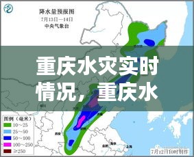 重庆水灾实时情况,重庆水灾实时情况查询