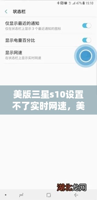 美版三星s10设置不了实时网速,美版三星s10设置不了实时网速怎么办