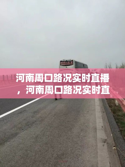 河南周口路况实时直播,河南周口路况实时直播今天
