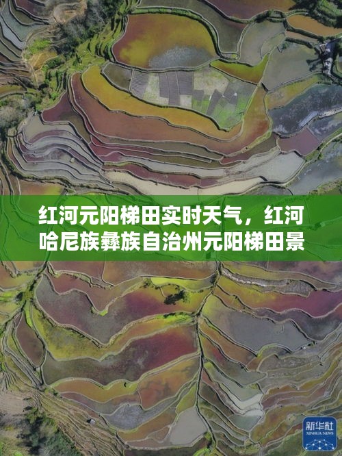 红河元阳梯田实时天气,红河哈尼族彝族自治州元阳梯田景区天气情况