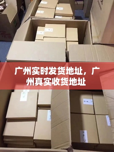 广州实时发货地址,广州真实收货地址