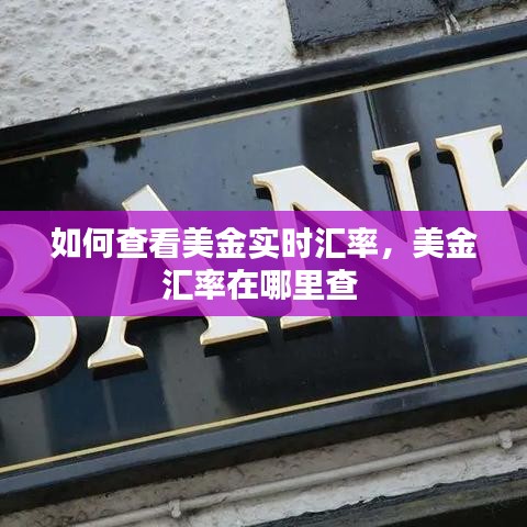 如何查看美金实时汇率,美金汇率在哪里查