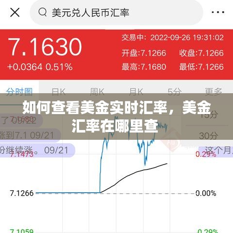 如何查看美金实时汇率,美金汇率在哪里查