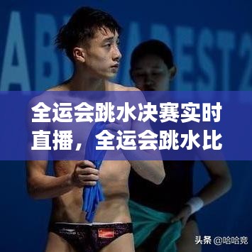 全运会跳水决赛实时直播,全运会跳水比赛现场直播