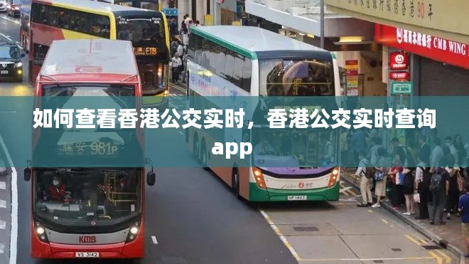 如何查看香港公交实时,香港公交实时查询app