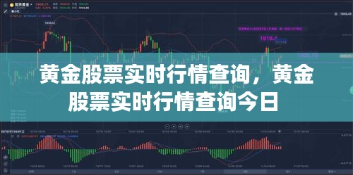 黄金股票实时行情查询,黄金股票实时行情查询今日