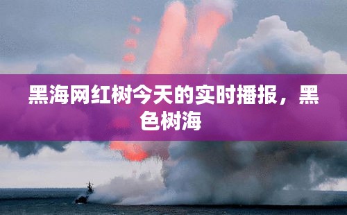 黑海网红树今天的实时播报,黑色树海