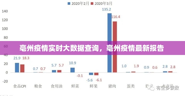 亳州疫情实时大数据查询,亳州疫情最新报告