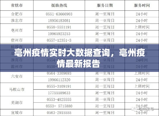 亳州疫情实时大数据查询,亳州疫情最新报告