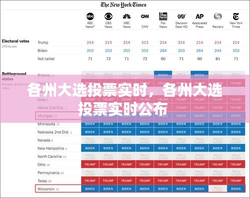 各州大选投票实时,各州大选投票实时公布
