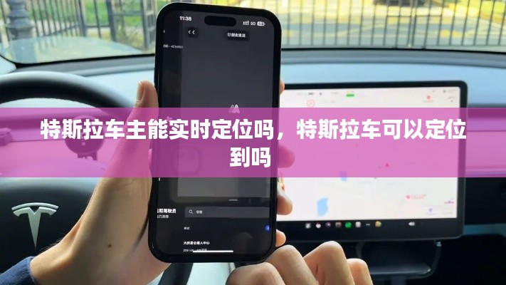 特斯拉车主能实时定位吗,特斯拉车可以定位到吗