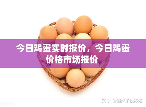 今日鸡蛋实时报价,今日鸡蛋价格市场报价