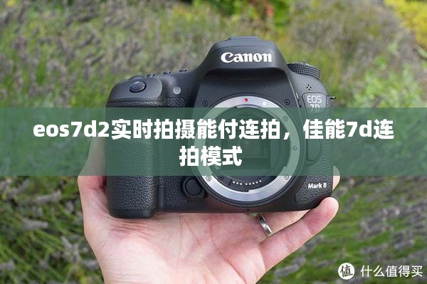 eos7d2实时拍摄能付连拍,佳能7d连拍模式