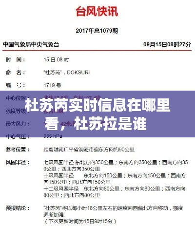 杜苏芮实时信息在哪里看,杜苏拉是谁
